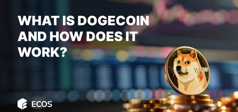 What is Dogecoin (DOGE)?