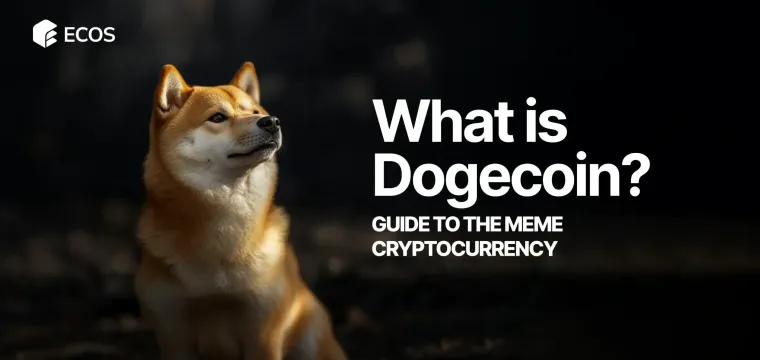 What is Dogecoin? Guide to the Meme Cryptocurrency