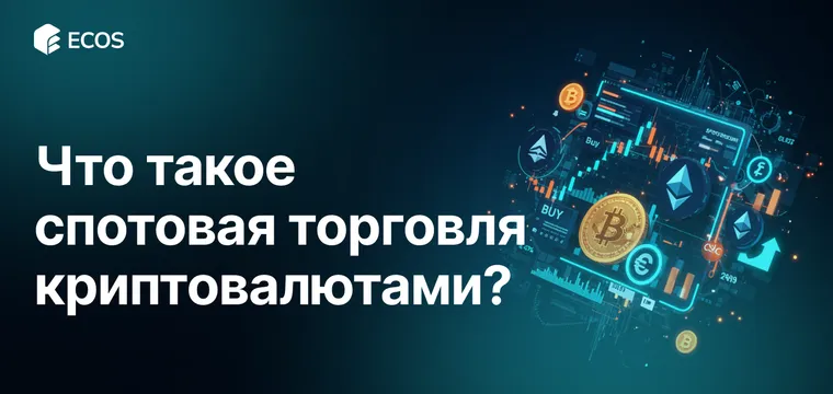 Спотовая торговля криптовалютами: полное руководство для новичков