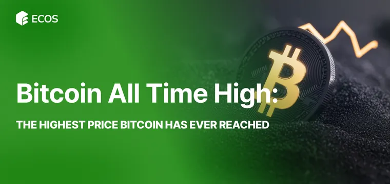 Bitcoin All Time High: The Highest Price Bitcoin Has Ever Reached