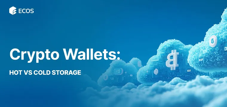 Crypto Wallet: What Is It and Which One Should You Use?