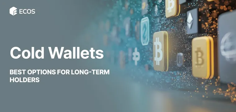 Best Cold Wallets: Top Picks for Long-Term Holders in 2025