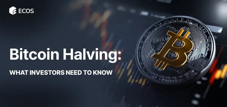 Bitcoin Halving Investors: What You Need to Know