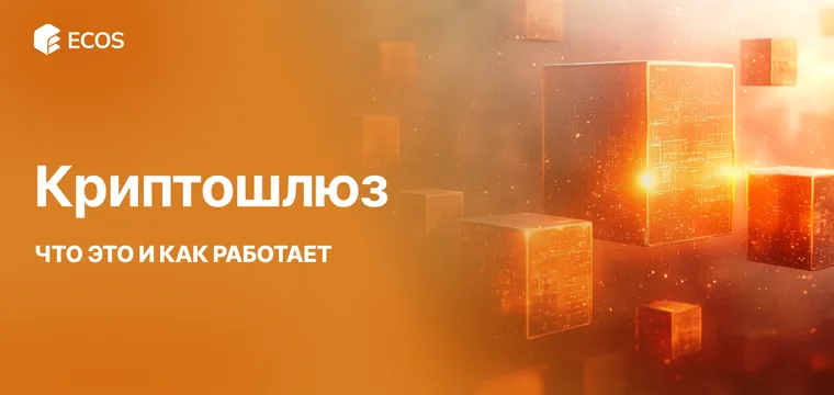 Криптошлюз, что это такое и как он работает