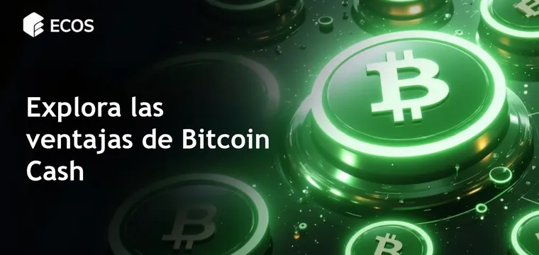 Bitcoin Cash: análisis detallado, ventajas y ejemplos de uso