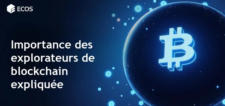 Explorateurs de blockchain : Qu’est-ce que c’est et comment ils fonctionnent ?