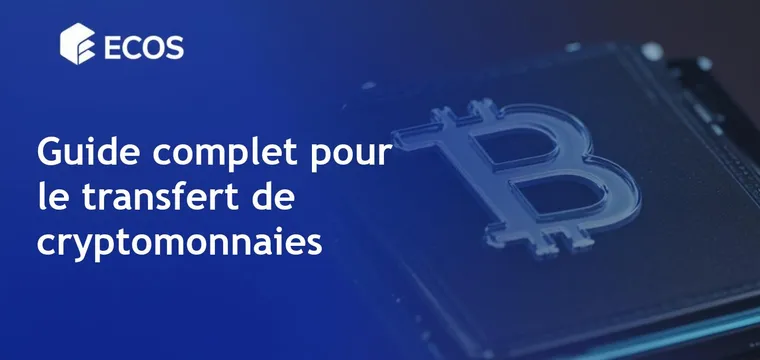 Transfert de cryptomonnaie: guide étape par étape pour les débutants