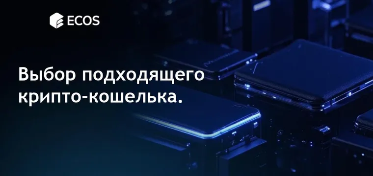 Крипто-кошелек: что это такое и как выбрать подходящий?