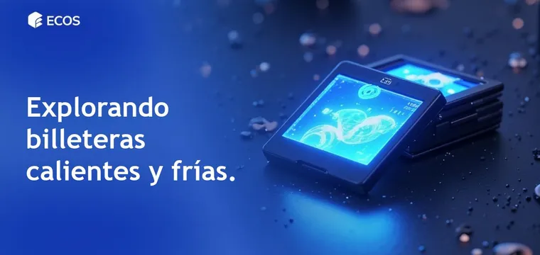 Billeteras calientes y frías para criptomonedas: diferencias y ventajas