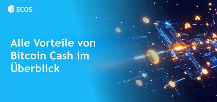 Bitcoin Cash Vorteile: Detaillierte Analyse und Nutzung
