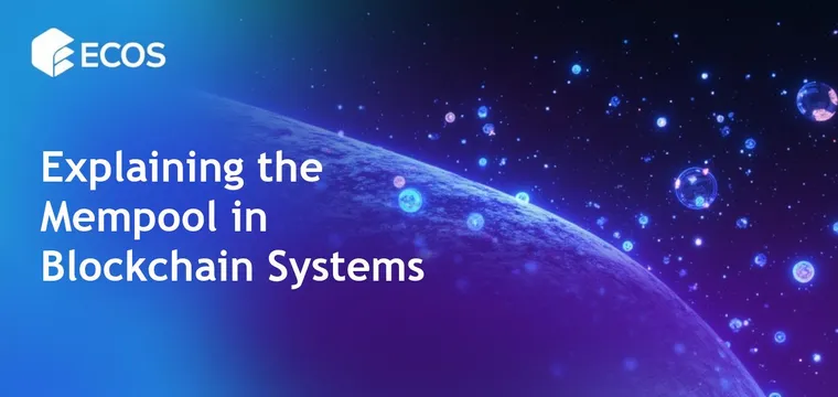 Mempool in Blockchain: Understanding Its Role and Function