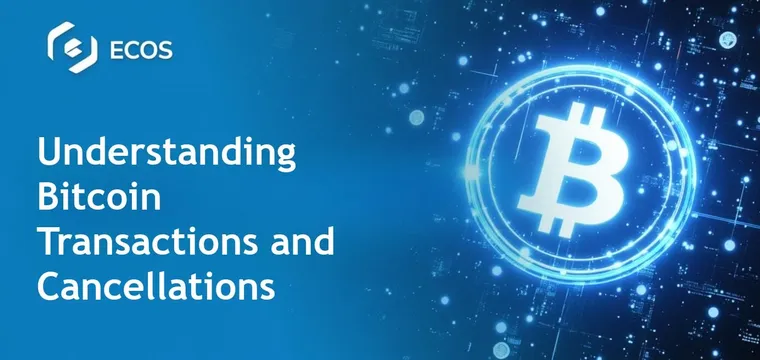 Cancel Bitcoin Transaction: Complete Guide to Managing Bitcoin Transactions