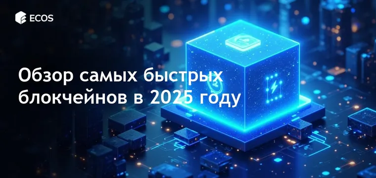 Самые быстрые блокчейны: полное руководство по высокоскоростным транзакционным сетям в 2025 году