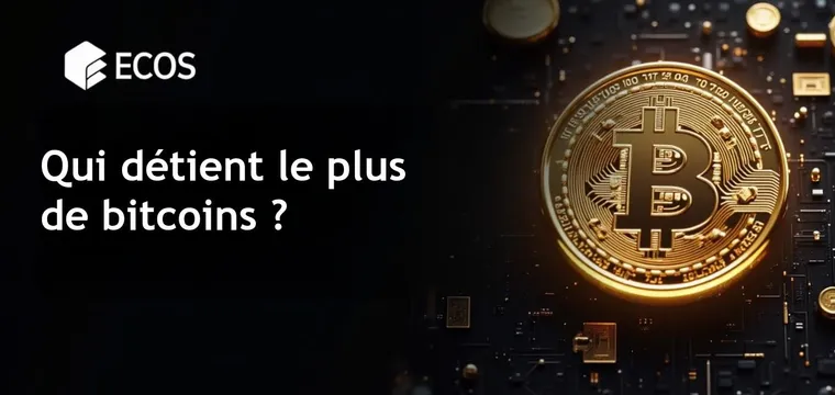 Détenteurs de bitcoins : Qui possède le plus ?