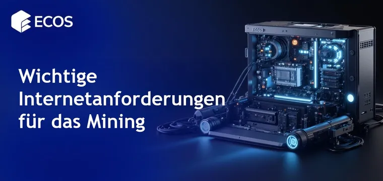 Internet für Mining: Geschwindigkeit, Stabilität und Anforderungen