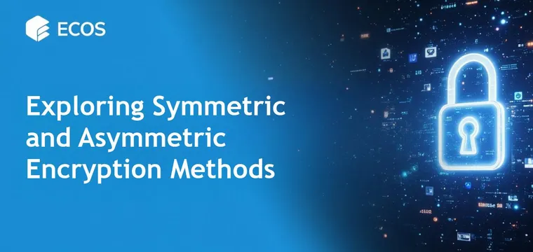 Symmetric and Asymmetric Encryption: What to Choose and How It Works