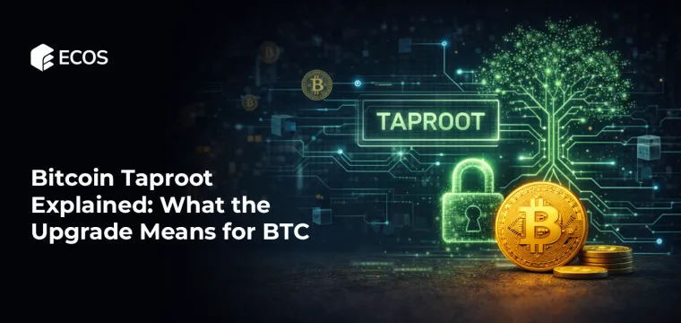 Bitcoin Taproot Explained: What the Upgrade Means for BTC