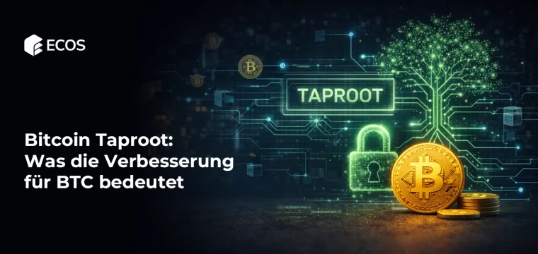 Bitcoin Taproot Upgrade: Was die Verbesserung für BTC bedeutet