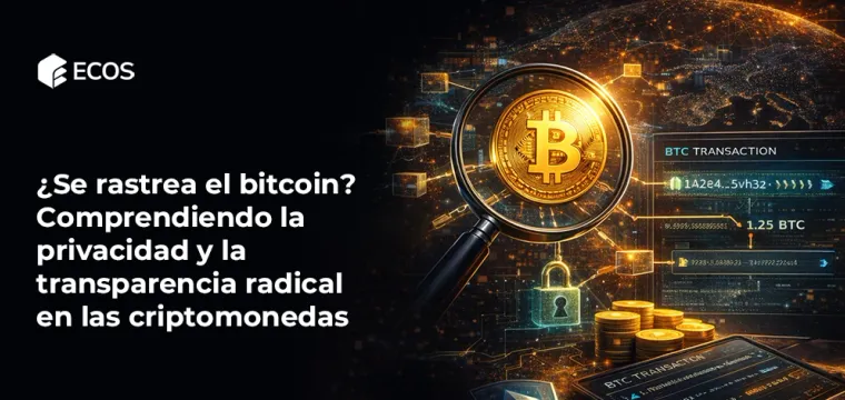 ¿Se rastrea el bitcoin? Comprendiendo la privacidad y la transparencia radical en las criptomonedas