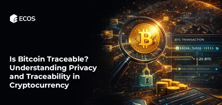 Is Bitcoin Traceable? Understanding Privacy and Traceability in Cryptocurrency