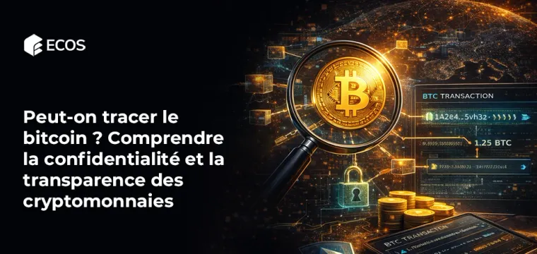 Peut-on tracer le bitcoin ? Comprendre la confidentialité et la transparence des cryptomonnaies