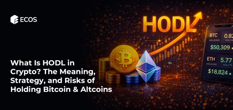 What Is HODL in Crypto? The Meaning, Strategy, and Risks of Holding Bitcoin & Altcoins