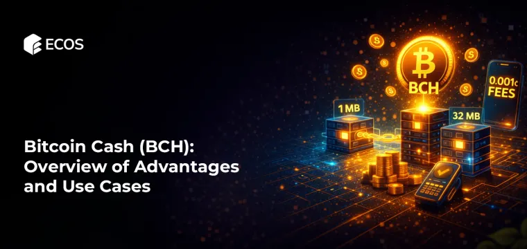 Bitcoin Cash (BCH): Overview of Advantages and Use Cases