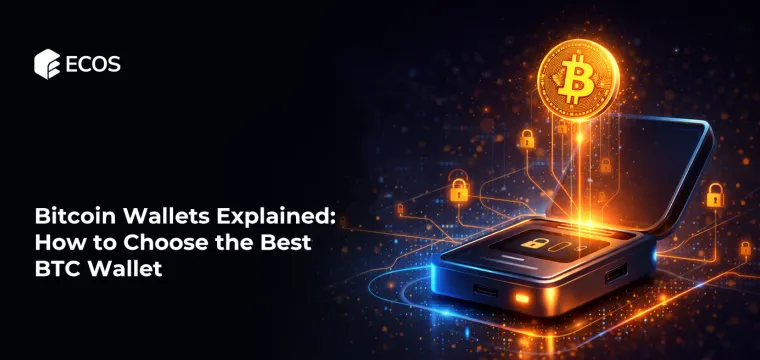 Bitcoin Wallets Explained: How to Choose the Best BTC Wallet