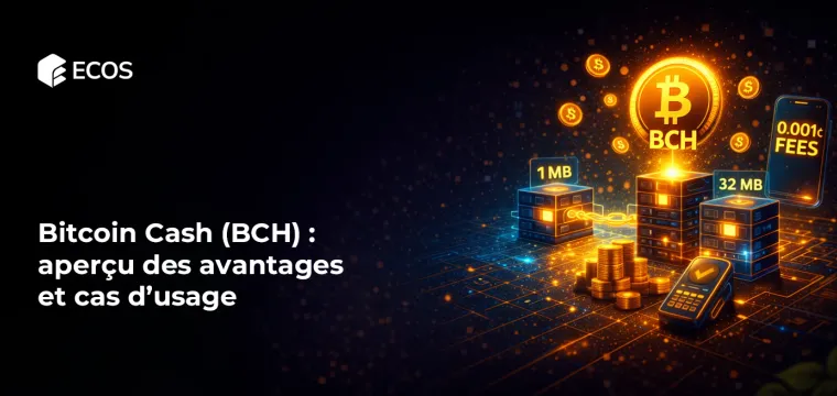 Bitcoin Cash (BCH) : aperçu des avantages et cas d’usage