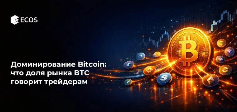 Доминирование Bitcoin: что доля рынка BTC говорит трейдерам