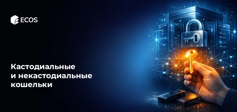Кастодиальные и некастодиальные кошельки: подробное объяснение