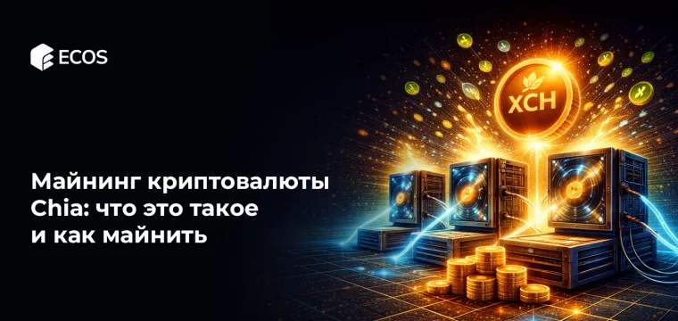 Майнинг криптовалюты Chia: что это такое и как майнить Chia