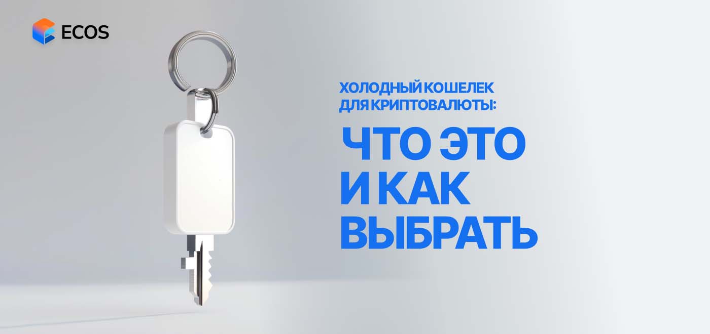 Холодный кошелек для криптовалюты: виды, бонусы и как выбрать