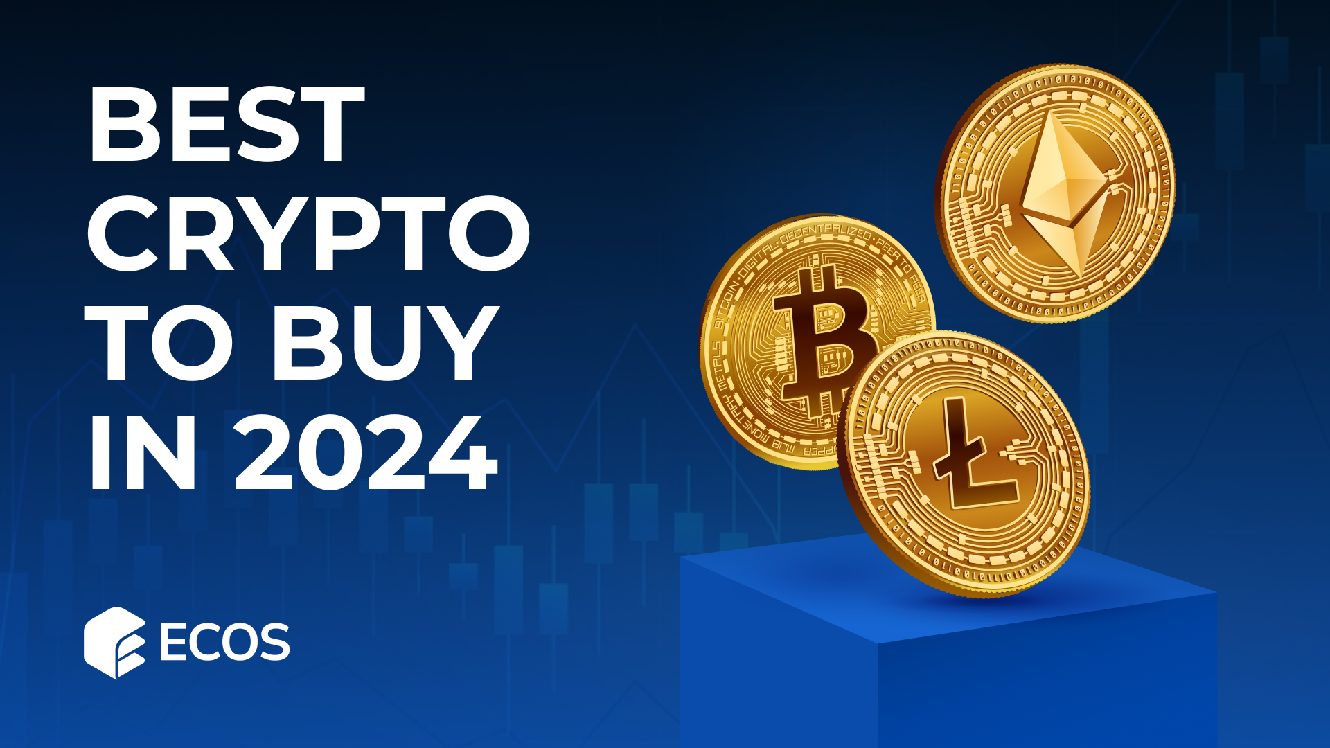 Best Crypto to Buy in 2024