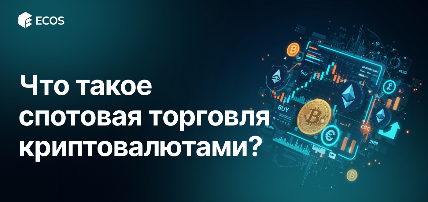 Спотовая торговля криптовалютами: полное руководство для новичков