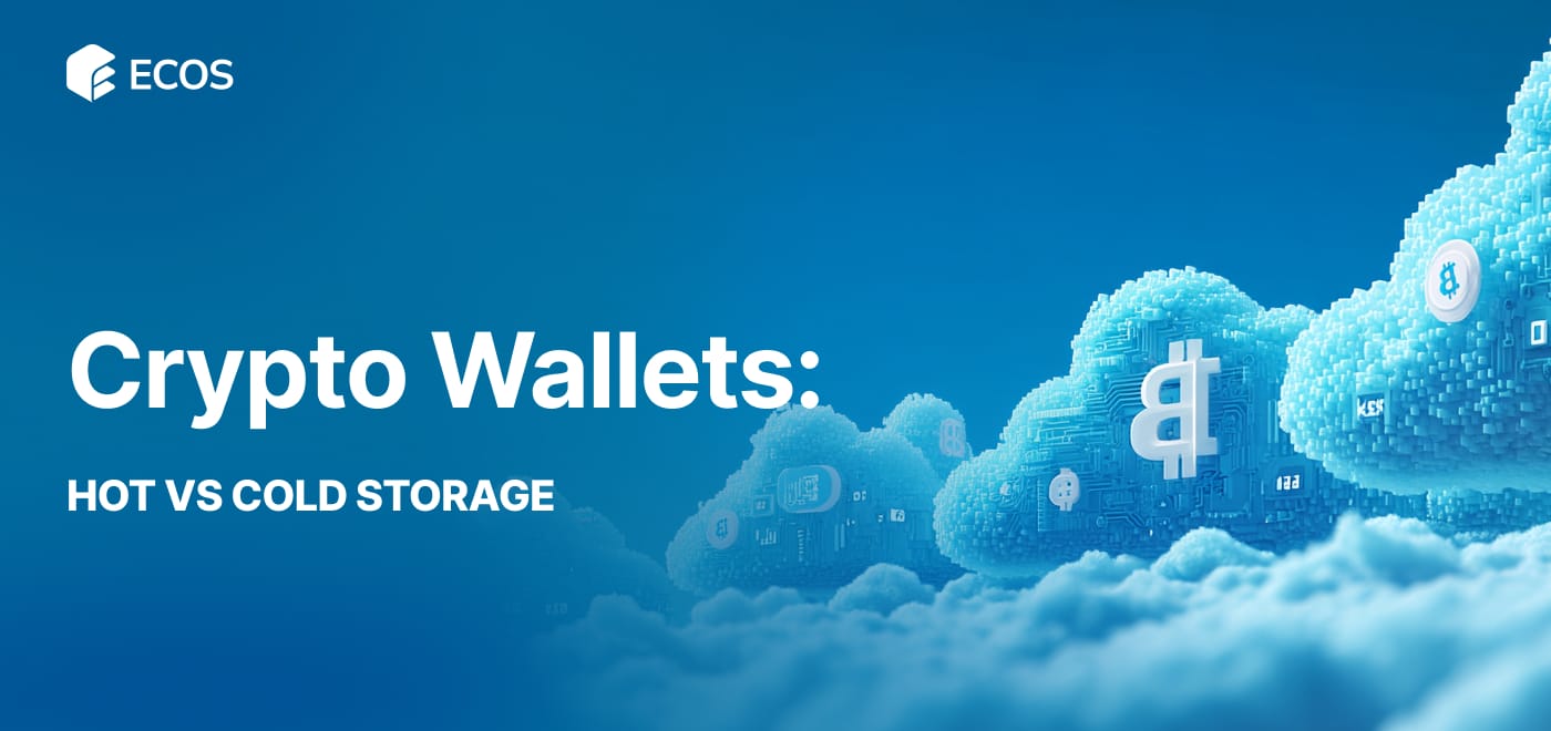 Crypto Wallet: What Is It and Which One Should You Use?