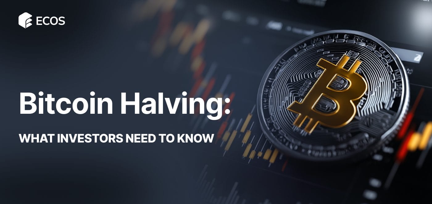 Bitcoin Halving Investors: What You Need to Know
