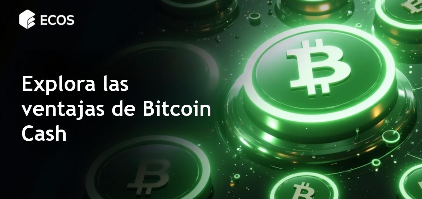 Bitcoin Cash: análisis detallado, ventajas y ejemplos de uso