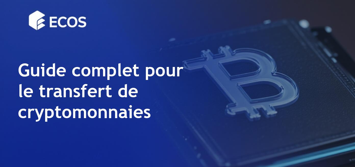 Transfert de cryptomonnaie: guide étape par étape pour les débutants