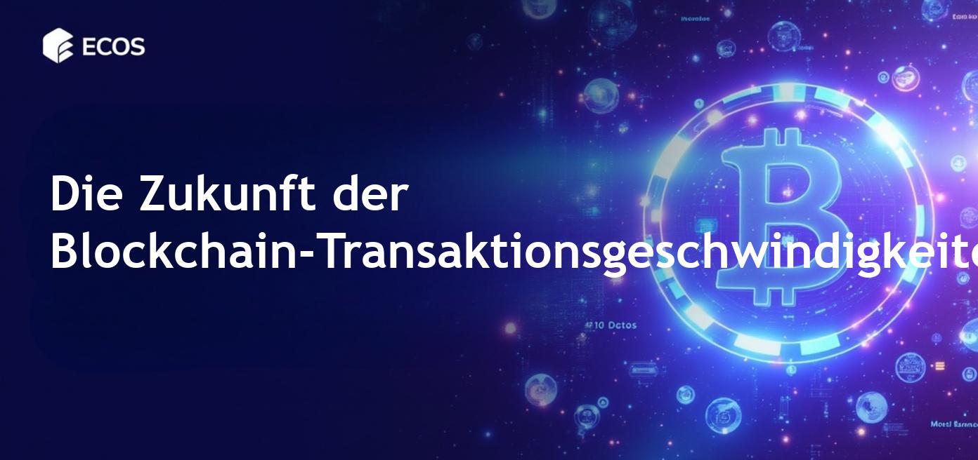 Schnellste Blockchains 2025: Ein umfassender Leitfaden zu Hochgeschwindigkeits-Netzwerken