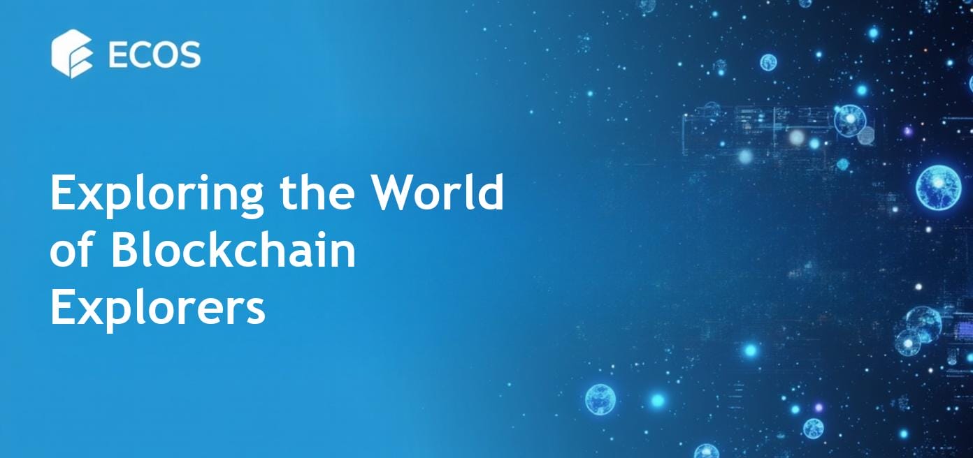 Blockchain Explorers: What They Are and How They Work