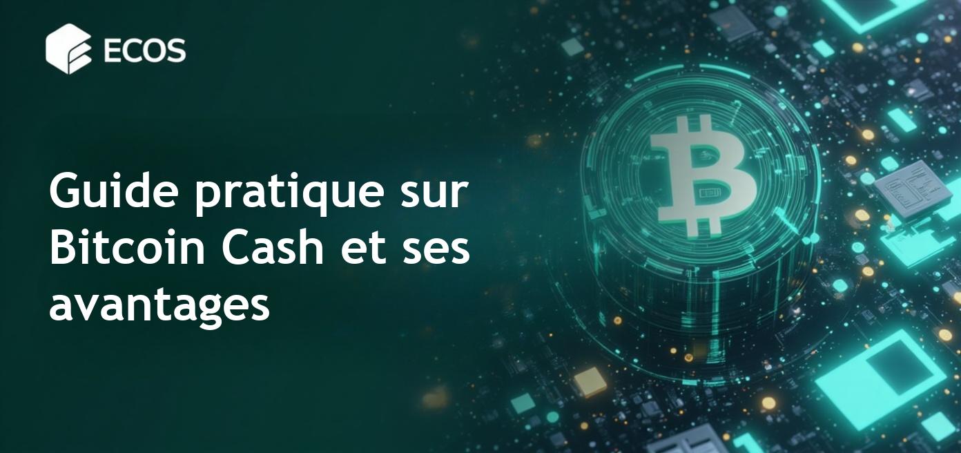 Bitcoin Cash : Guide complet sur son fonctionnement, ses avantages et ses perspectives d’avenir