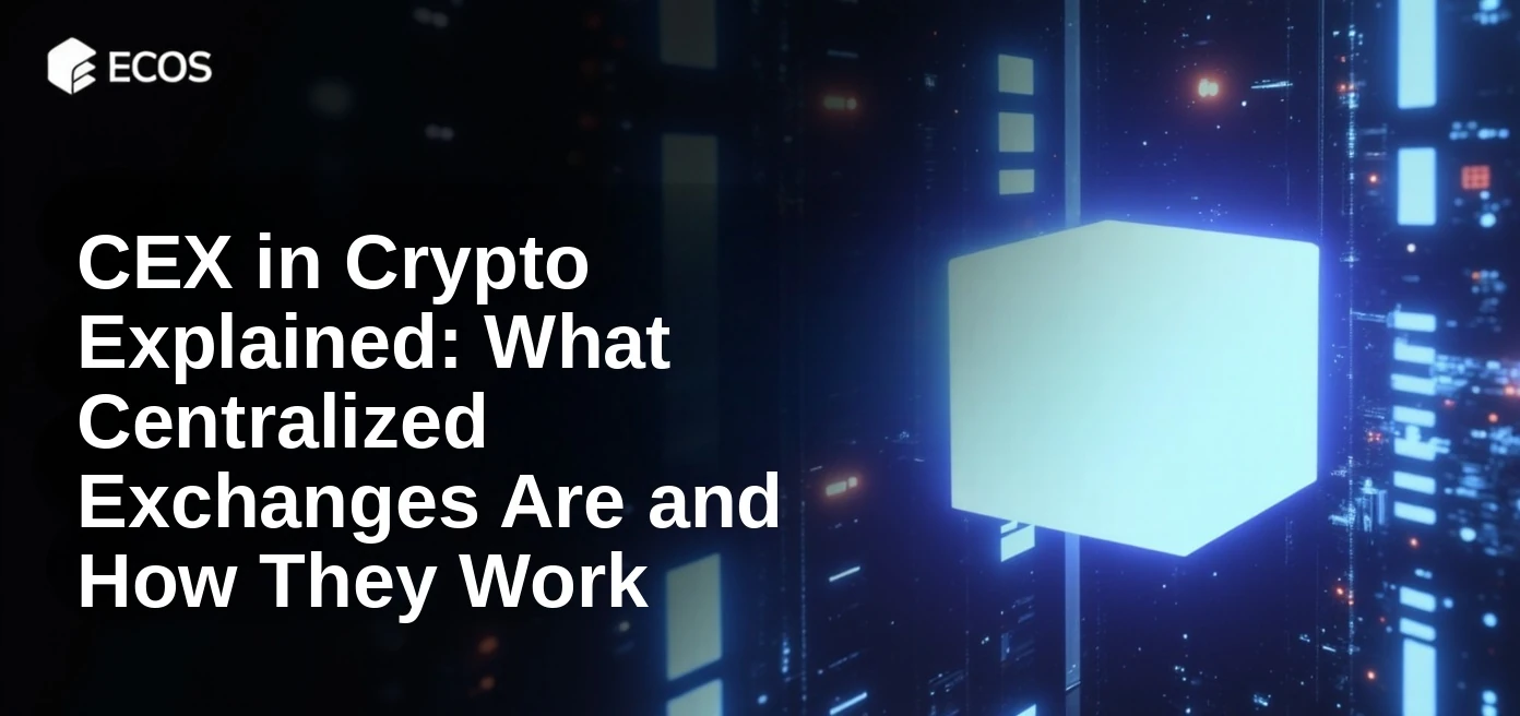 CEX in Crypto Explained: What Centralized Exchanges Are and How They Work
