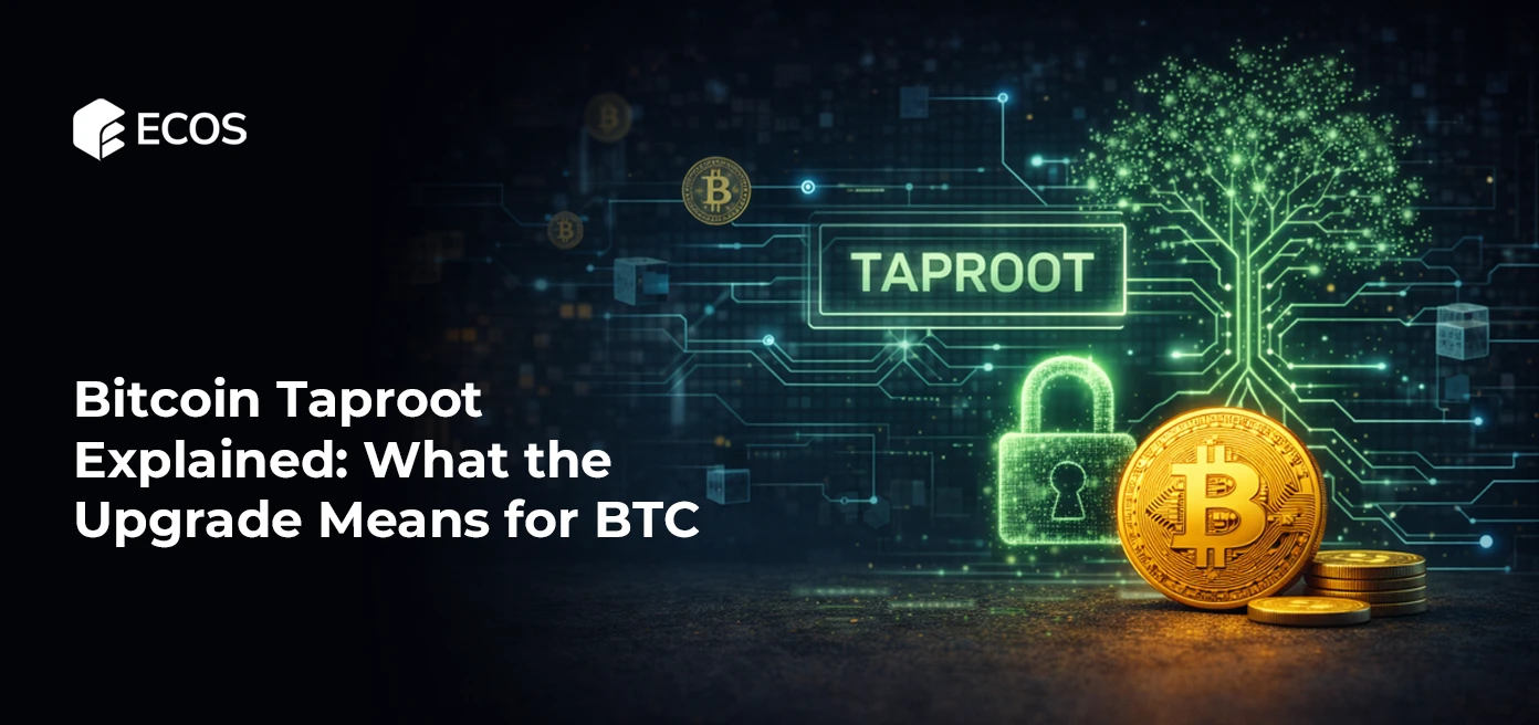 Bitcoin Taproot Explained: What the Upgrade Means for BTC