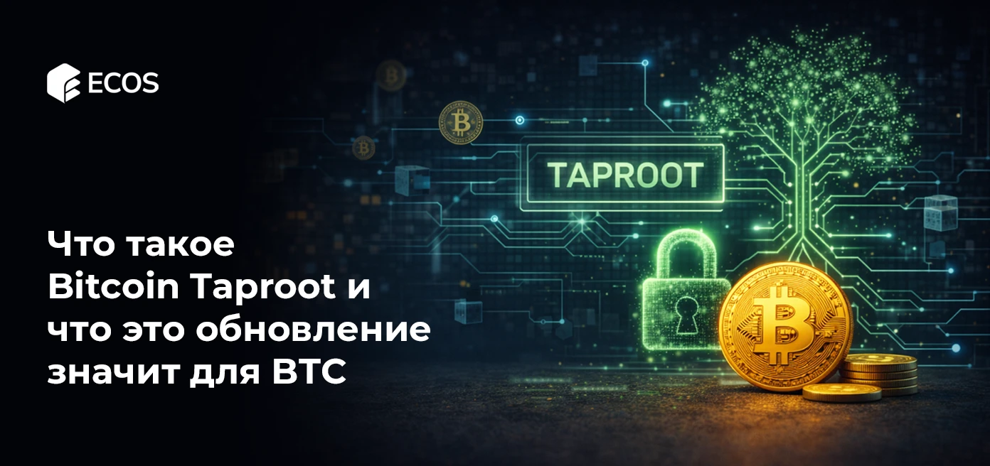 Что такое Bitcoin Taproot и что это обновление значит для BTC