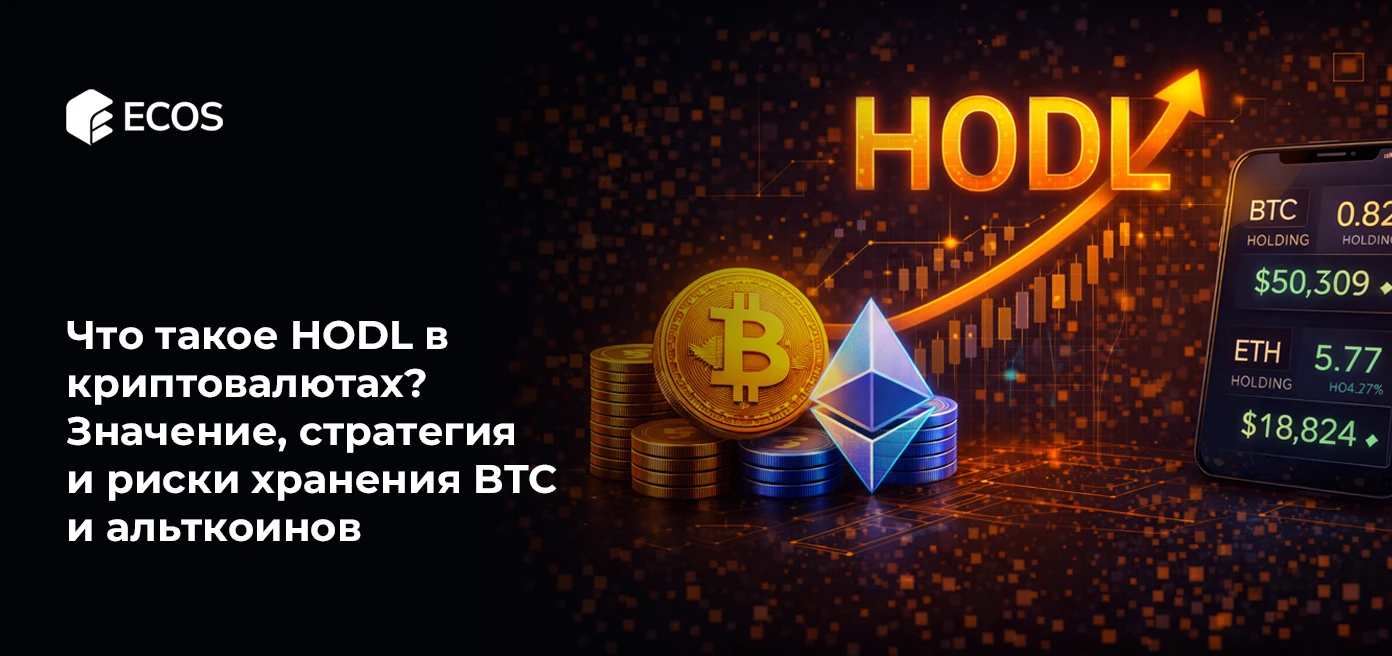 Что такое HODL в криптовалютах? Значение, стратегия и риски хранения BTC и альткоинов
