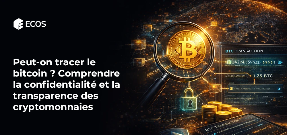 Peut-on tracer le bitcoin ? Comprendre la confidentialité et la transparence des cryptomonnaies