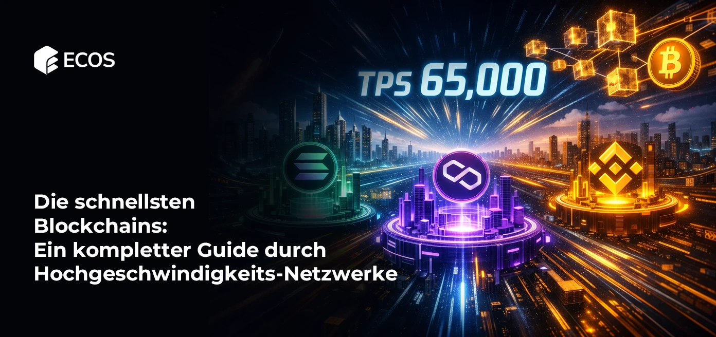 Die schnellsten Blockchains: Ein kompletter Guide durch Hochgeschwindigkeits-Netzwerke