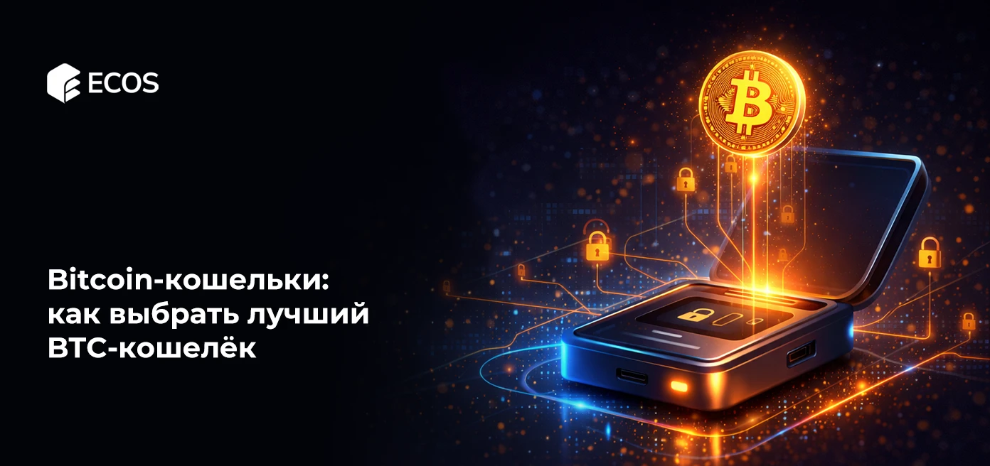 Bitcoin-кошельки: как выбрать лучший BTC-кошелёк