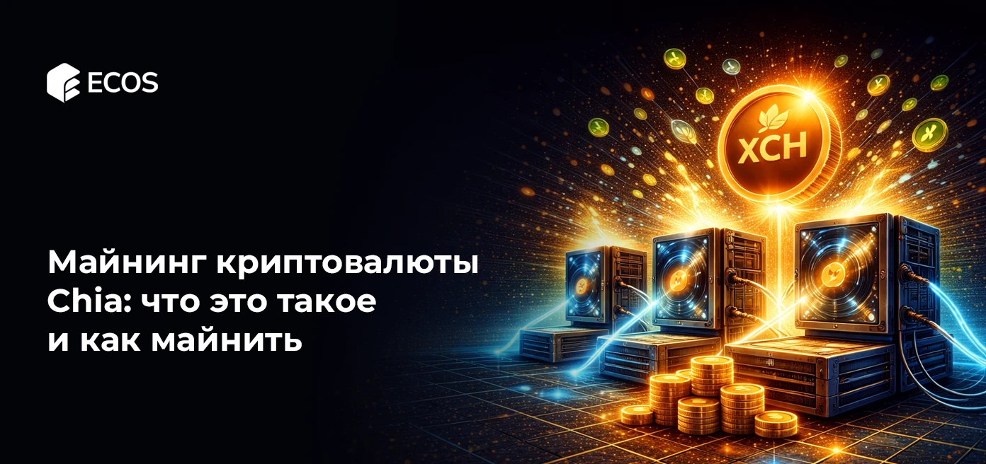 Майнинг криптовалюты Chia: что это такое и как майнить Chia
